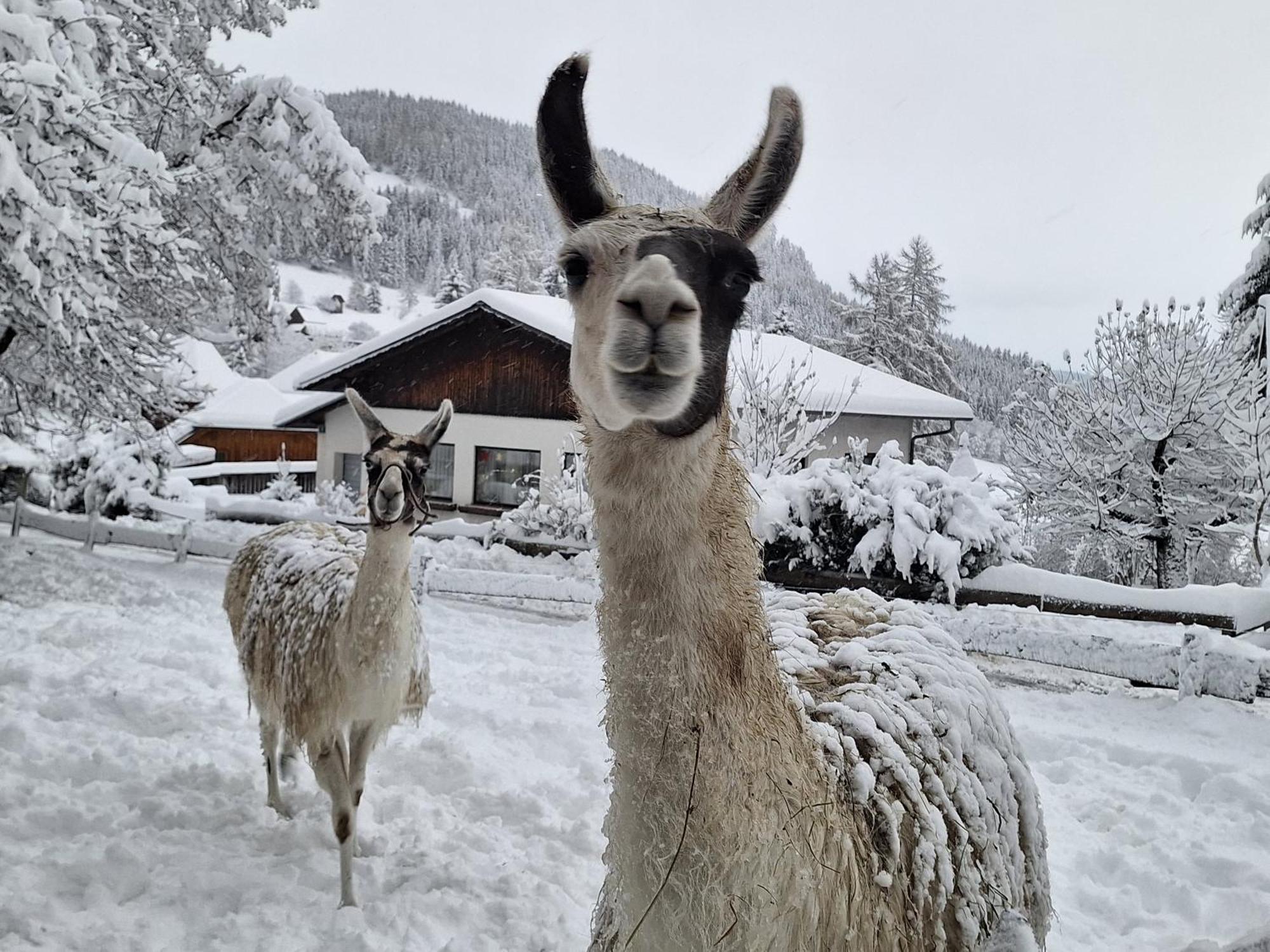 Gasthof Kirchmoar Sankt Blasen Luaran gambar